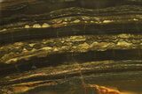 Polished Packsaddle Tiger Eye Slab - Western Australia #287947-1